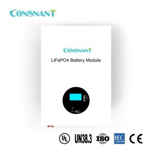 Wall Mount LiFePO4 Battery Pack 48V 200Ah